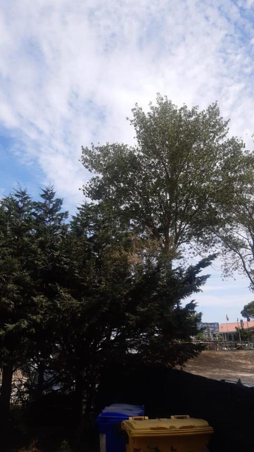 La Spiaggia Lido di Volano Exteriör bild
